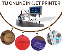 Impresora de Inyección de Tinta Automática T260E-1 TIJ para Códigos de Lote y Fechas de Caducidad, Fabricada en China