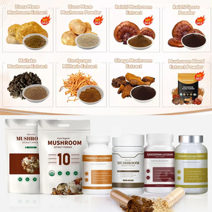 Suppléments <span class=keywords><strong>de</strong></span> santé Lions <span class=keywords><strong>Crinière</strong></span>/Reishi/Chaga/Queue <span class=keywords><strong>de</strong></span> Dinde/Shiitake Mélange <span class=keywords><strong>de</strong></span> poudre d'extrait <span class=keywords><strong>de</strong></span> champignon biologique - Product Image 2