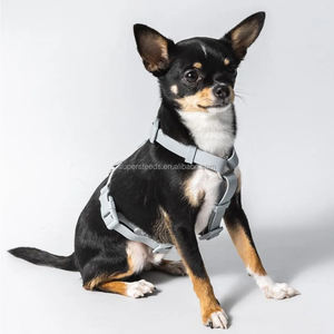 快適なPVCコーティングされたウォーキングハーネス男の子用女の子犬用メンテナンスデザイン悪天候に耐える重い使用プラスチック - Product Image 6