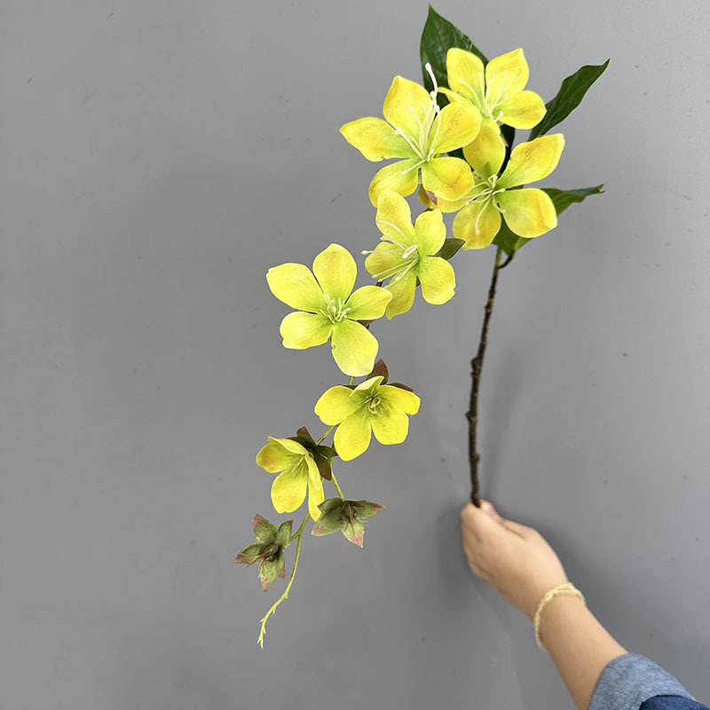 Jasmine yellow