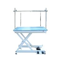 Table de toilettage pour chien réglable en hauteur, en acier inoxydable organique, avec éclairage LED, écologique