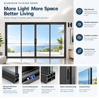 HANNOVER Vente Flash : Porte Coulissante en Verre Moderne en Alliage d'Aluminium, Économe en Énergie et à Isolation Thermique pour Villas, Hôtels, Jardins et Résidences