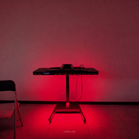 Lampe de luminothérapie rouge professionnelle 3000W avec support électrique réglable 660nm 850nm Panneau de luminothérapie LED infrarouge corps entier pour clinique
