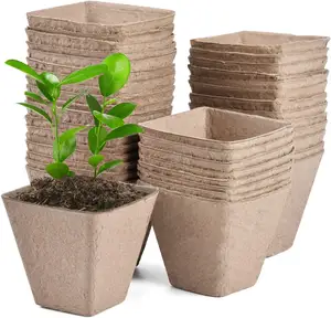 Prezzo a buon mercato Design personalizzato rotondo Eco Friendly polpa di carta vaso di fiori fioriera biodegradabile fioriera da giardino vasi di carta