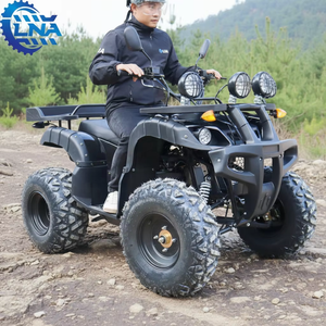 Cuatrimotos LNA de 250cc listas para enviar, piezas disponibles para adultos, listas para alquilar - Product Image 3