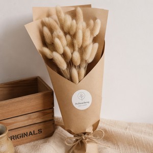 Bouquet de fleurs séchées naturelles de <span class=keywords><strong>Lagurus</strong></span> Ovatus (Queue de Lapin) pour décoration bohème, mariage, arrangement de vase – Vente en gros - Product Image 5