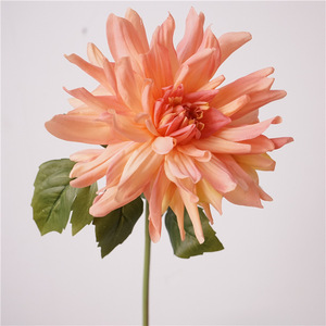 Vente en gros de plantes à fleurs de <span class=keywords><strong>dahlia</strong></span> blanc Nouvelle grande tête artificielle en PU Real Touch pour la maison de mariage Saint Valentin Pâques - Product Image 5