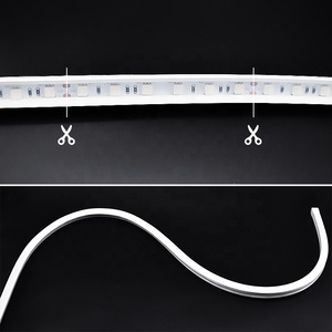 1414 mét <span class=keywords><strong>SMD5050</strong></span> Flex <span class=keywords><strong>LED</strong></span> Tường máy giặt ánh sáng DC12V/24V 18 Wát 60 cái/mét <span class=keywords><strong>IP66</strong></span> 30 ° Chùm tia góc <span class=keywords><strong>LED</strong></span> <span class=keywords><strong>Strip</strong></span> cho hộp đèn quảng cáo Hội Đồng Quản Trị - Product Image 6