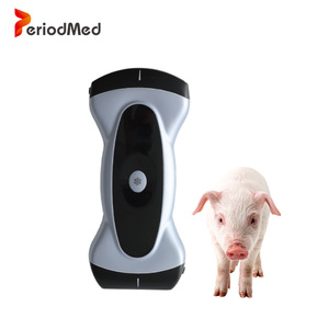 Appareil d'échographie numérique portable couleur sans fil pour animaux de compagnie, hôpital vétérinaire, Wifi, Periodmed - Product Image 4