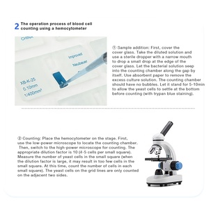 Hemocitómetro de Laboratorio para Conteo de Células Sanguíneas, 10 Unidades/Caja, Hemocitómetro Simple para Conteo Celular en Laboratorio - Product Image 6