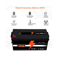 Stock UE/USA, Batterie Solaire Rechargeable OEM 12.8V/25.6V/51.2V, Pack de Batteries Lithium-Ion 100Ah/200Ah/300Ah avec BMS 100A/200A