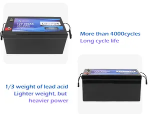 Lifepo4 12v 100ah 200ah 300ah 400ah lithium-ionen auto batterie pack