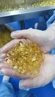 Complément Herbal Chinois OEM/ODM - Capsules Herbales pour Hommes - Usage Adulte - Énergie Naturelle et Biologique - Stimulant