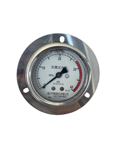 Manómetro Industrial Jingtong Serie CY Tipo YN con Conexión de Brida/Apretador Axial/Radial - Product Image 1