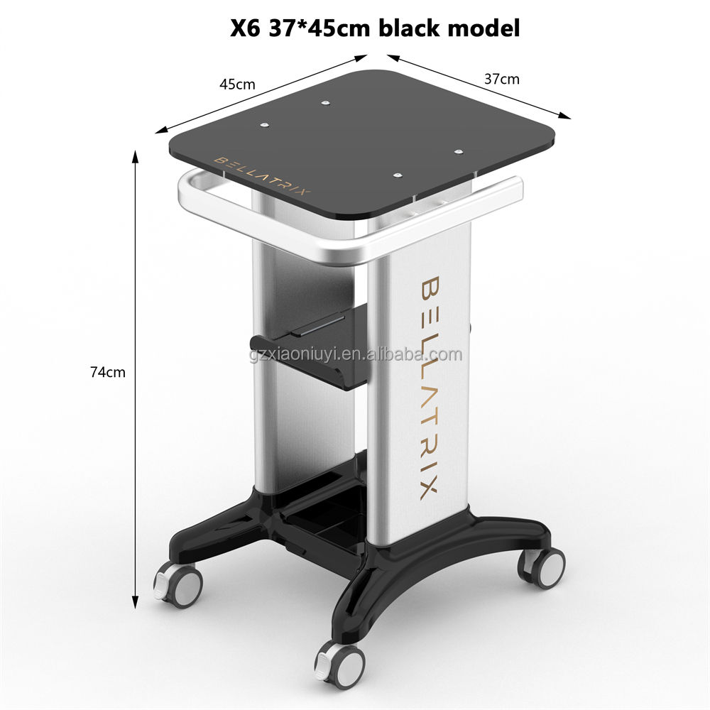 X6 37*45cm + sin logotipo + sin valla + negro