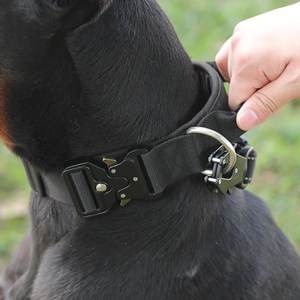 Moderne nylon hondenhalsband met eenvoudig verstelbaar ontwerp, solide stijl, trainings-, tactische en luxe hondenhalsbanden - Product Image 6