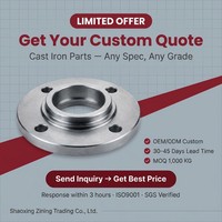 Composants de boîtier de pompe en fonte de précision EN-GJS-400-15 avec traitement de surface E-Coating, pièces de machines lourdes OEM