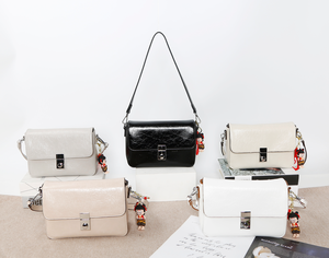 Best-seller Sac à bandoulière élégant de luxe pour femmes avec petite fermeture verrouillable Petit sac multifonctionnel - Product Image 6