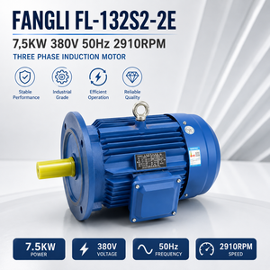 Moteur à induction triphasé FANGLI FL-132S2-2E 7,5KW 380V 50Hz 2910RPM IP55 pour pompe centrifuge industrielle - Product Image 1