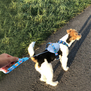 ペット用品カスタム新しい犬ペットベストハーネス小中犬用の調節可能な通気性のある快適な犬のハーネス - Product Image 5