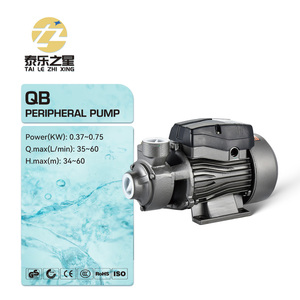 ปั๊มน้ำ QB70 0.75 แรงม้า ปั๊มน้ำสะอาดแบบรอบนอกขนาดเล็ก สำหรับใช้ในสวนและบ้าน - Product Image 2