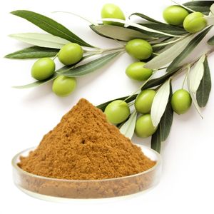 Suministro de suplemento de salud puro precio 10% 25% extracto de hoja de olivo hidroxitirosol en polvo - Product Image 1