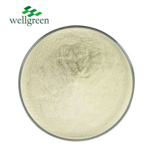 Wellgreen fabrika doğal içecek kullanımı suda çözünür yoğunlaştırılmış meyve suyu elma tozu - Product Image 2