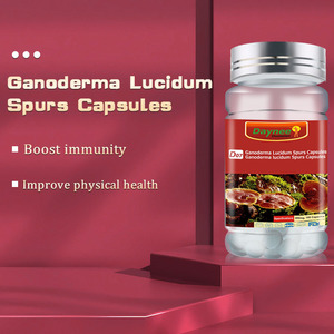 Cápsulas de Ganoderma Lucidum OEM, Extracto Natural de Hongo Reishi, Refuerza la Inmunidad, Mejora la Salud Física, Suplemento Herbal - Product Image 4