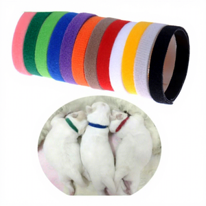 Venta al por mayor de <span class=keywords><strong>collar</strong></span> de identificación de perro personalizado respetuoso con el medio ambiente ajustable suave mascota gato correa para el cuello con la característica autoadhesiva - Product Image 1