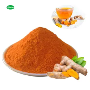 Free samples food grade natural Curcuma longa extract 10% water soluble Curcumin powder