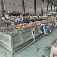 Hoge Efficiëntie Energiebesparende Mango Bubbel Wasmachine Bubble Wasmachine Reinigingsmachine Voor Groothandel