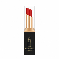 Personnalisation à 360° OEM ODM Marque Privée Rouge à Lèvres Naturel Bio Minéral Anti-adhésif Longue Tenue Lisse Hydratant