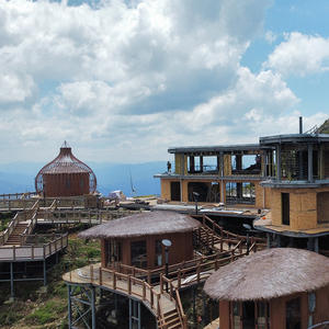 Estructura de Acero al Carbono para Proyectos de Casas Vacacionales, Construcción de Edificios de Gran Altura, Garajes, Almacenes, Estacionamientos - Product Image 2