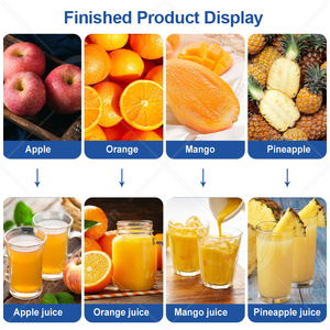 Planta de Producción de Jugo de Zanahoria Fresca OCEAN, Equipo de Procesamiento de Jugo de Frutas a Pequeña Escala - Product Image 6