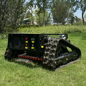 Miễn phí vận chuyển chất lượng cao điều khiển từ xa máy cắt cỏ với động cơ xăng - Product Image 5