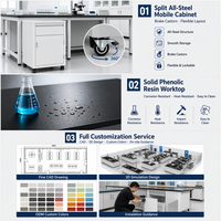 Banc de travail de laboratoire sur mesure en gros, colonne fonctionnelle, prise de courant, support à réactifs, portable, tout en acier, multifonctionnel pour laboratoire