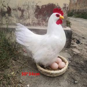 Modelo <span class=keywords><strong>de</strong></span> Gallina Blanca Simulada <span class=keywords><strong>de</strong></span> Plástico, Decoración <span class=keywords><strong>de</strong></span> la Suerte <span class=keywords><strong>para</strong></span> Diwali, Ramadán, Restaurante, Supermercado, Promoción <span class=keywords><strong>de</strong></span> Huevos <span class=keywords><strong>de</strong></span> Gallina, Escritorio - Product Image 4