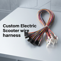 Kabel OEM Buatan Khusus WIRE HARNESS
