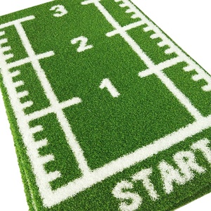 Chất lượng cao chức năng cỏ nhân tạo cho tập thể Dục Đào Tạo phòng tập thể dục nóng bán với đánh dấu số Turf - Product Image 2