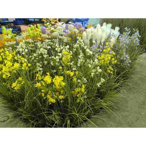 Fleurs de mariage artificielles de haute qualité, longues tiges, fleurs de daphné rose vif, résistantes aux UV, ignifuges, décoration de fête - Product Image 6