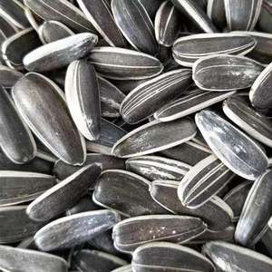 بذور البطيخ الأحمر المجفف عالية الجودة-نواة عباد الشمس الصينية مغذية ولذيذة - Product Image 4