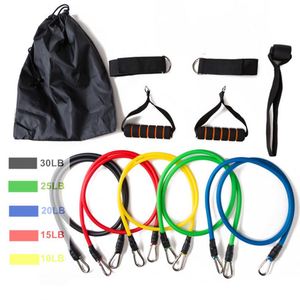 Kit d'entraînement musculaire 11 pièces avec bandes de résistance et corde de traction à crochet en forme de gourde, modèle 07-7, pour le sport et le fitness - Product Image 1