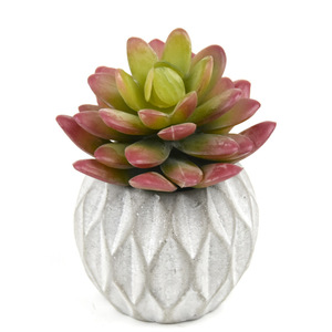 Suculentas Artificiales <span class=keywords><strong>Echeveria</strong></span> Gem Lotus para Marcos de Plantas 3D, Decoración de Bonsái en Maceta para Interiores, Venta al por Mayor - Product Image 1