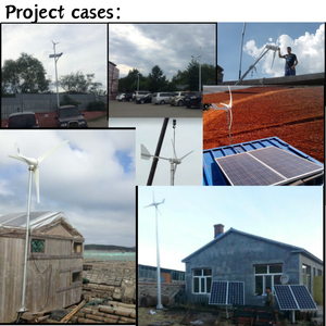 Sistema de Energía Solar y Eólica de 3000W, Económico, Conjunto Completo con Controlador MPPT y Batería de Litio para Granjas, Máxima Rentabilidad - Product Image 3