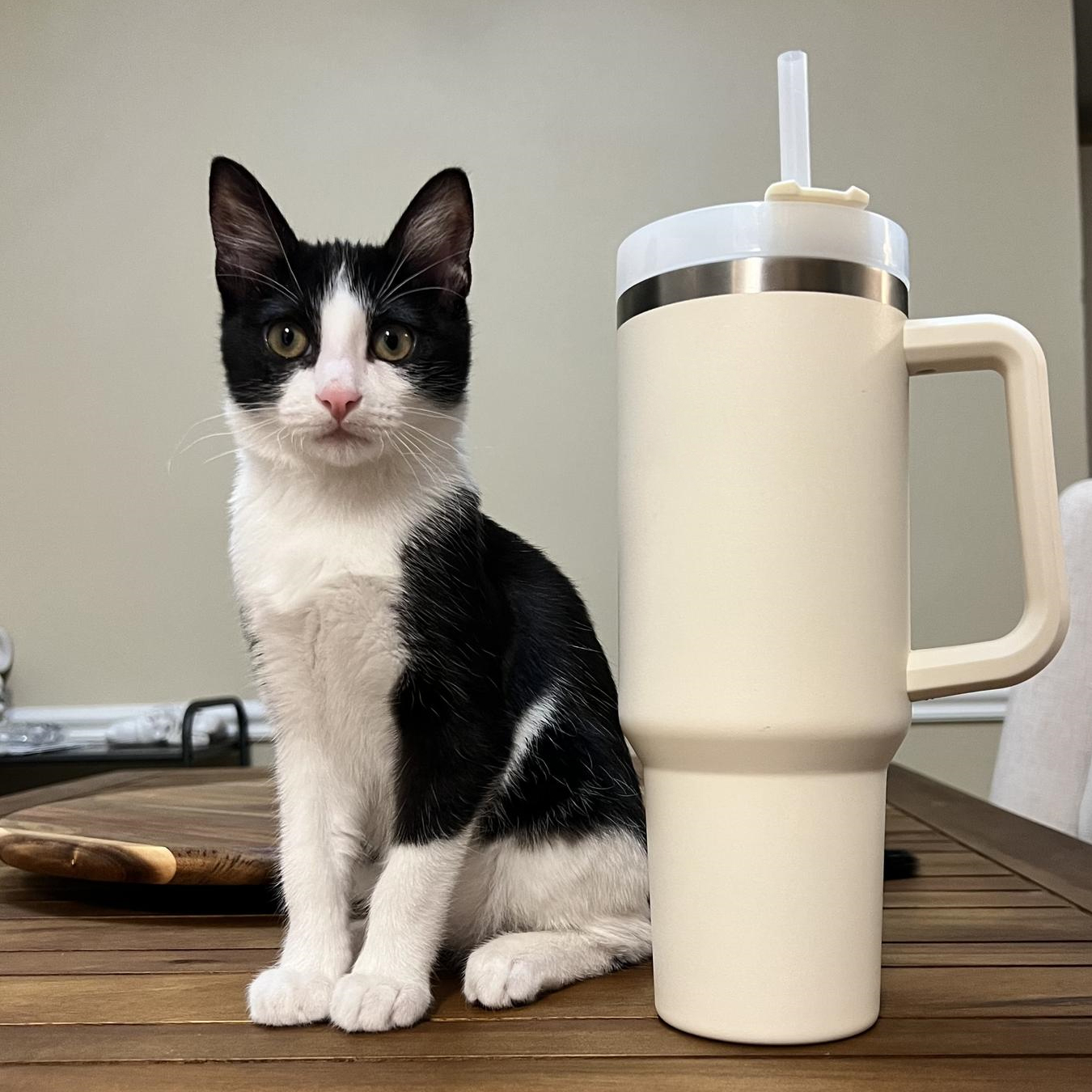 Вакуумная кружка из нержавеющей стали с ручкой