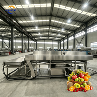 Voedselveilige 304 roestvrijstalen fruitwasmachine met belletjesreiniging voor de landbouwfruitverwerking
