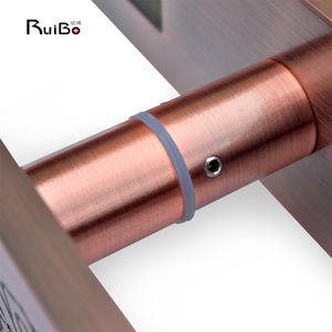 大きな真ちゅう製のドアの窓アクセサリー中国風の新しいブラシ付きブロンズ縁起の良い雲ホテル用の大きなハンドルヴィラのアパート - Product Image 5