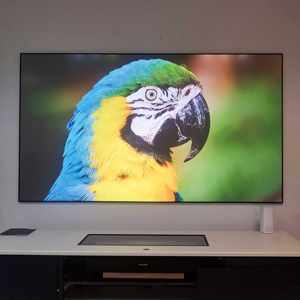 TELON 84-400 pouces écran à cadre fixe doux blanc cristal pour animaux de compagnie 4K ALR Anti-lumière longue et courte portée écran de projecteur, home cinéma - Product Image 3