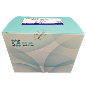 ערכת חילוץ פלזמידים בעלת תפוקה גבוהה (50T) להטמעה - Product Image 1