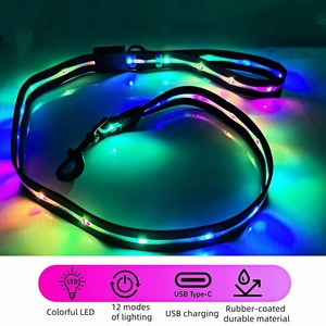 Correa Luminosa para Mascotas, Perros y Gatos, con Luz LED RGB, Recargable por USB, para Paseos Nocturnos - Product Image 5